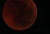 img_8269_t1.jpg
